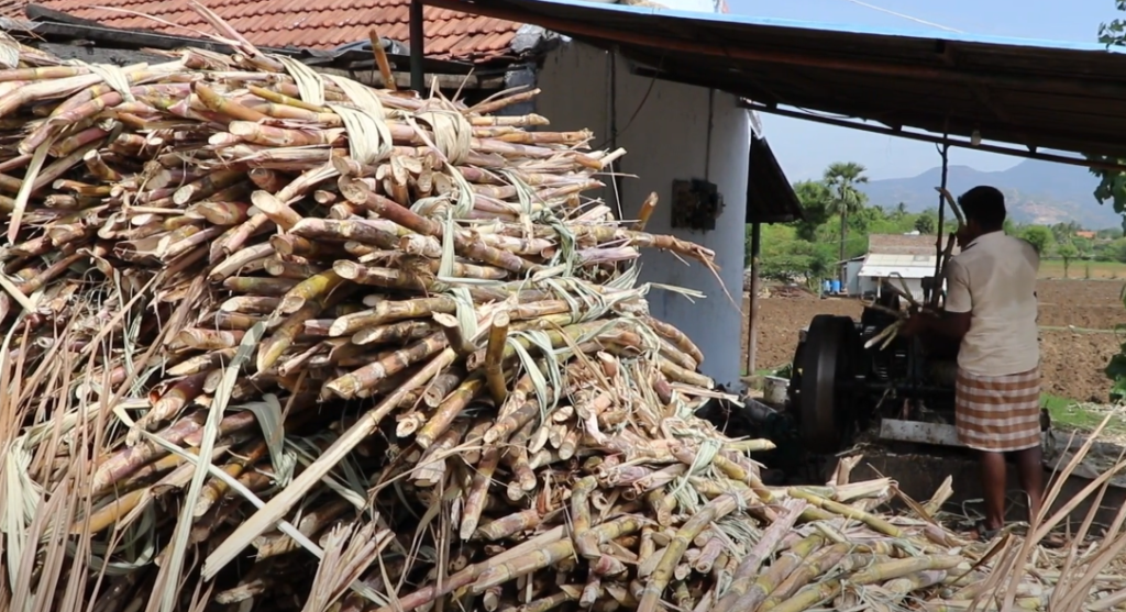 Crop Damage Insurance