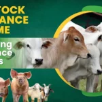 livestock insurance