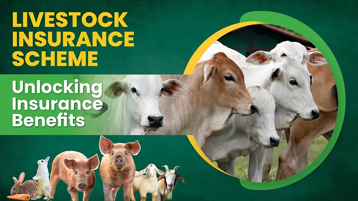 livestock insurance